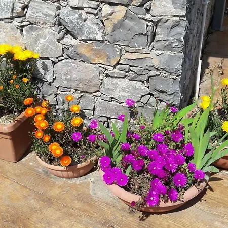 La Sorgente With Private Pool Calice Ligure